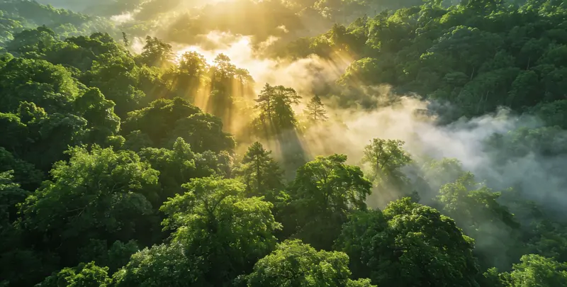 天水肺癌（EGFR T790M)突变检测图片1
