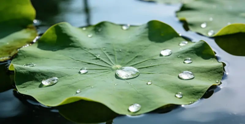 天水乳腺癌21基因mRNA表达分析图片1