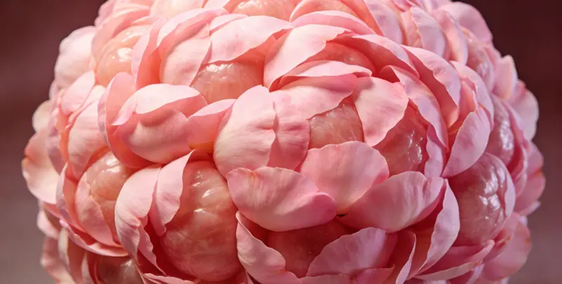 天水BRCA1/2乳腺癌卵巢癌基因检测图片1